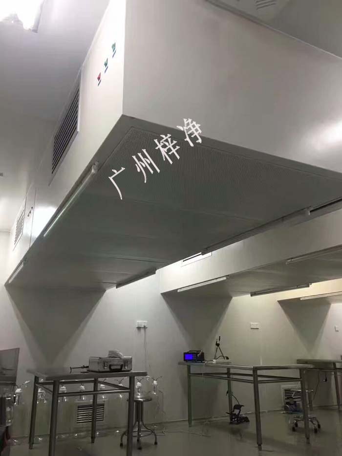 懸掛式潔凈層流罩安裝檢測(cè) 懸掛式潔凈層流罩安裝檢測(cè)